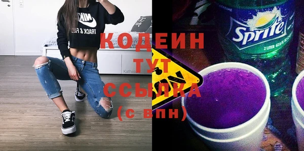 молекула духа Богородицк