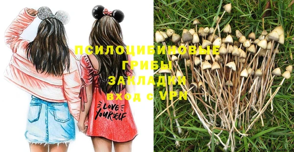 а пвп мука Бугульма