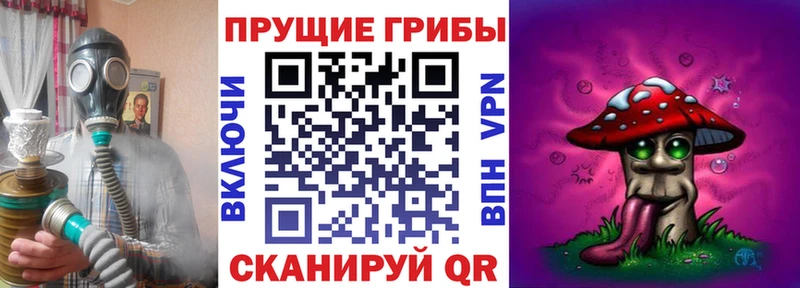 блэк спрут зеркало  наркотики  Нальчик  Псилоцибиновые грибы прущие грибы 